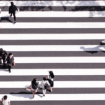 Norma Regulamentar sobre as obrigações de divulgação de informação das empresas de seguros