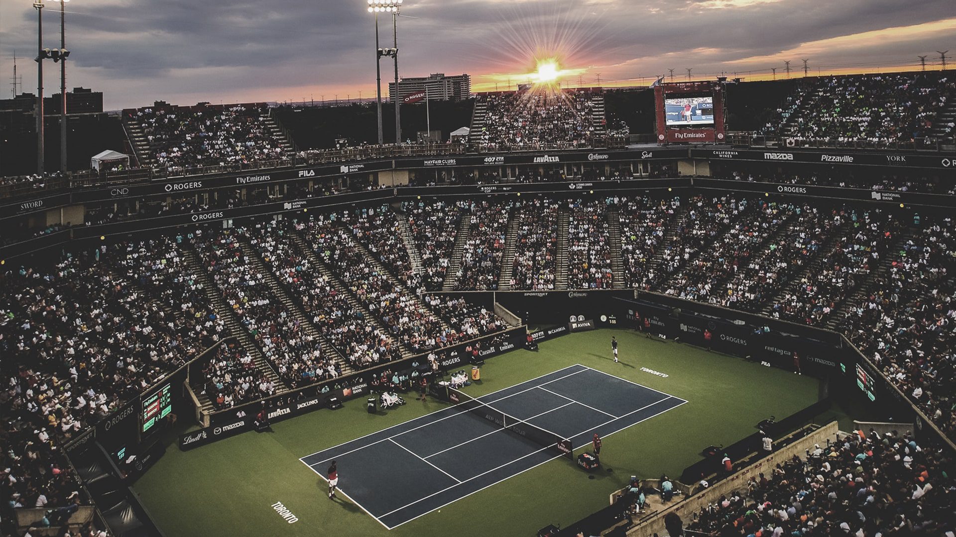 Sports Law Portugal Physical Exercise Professionals