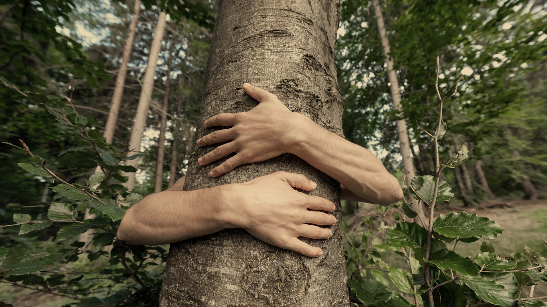 Abreu Advogados UN Climate Changes Law Firm Portugal