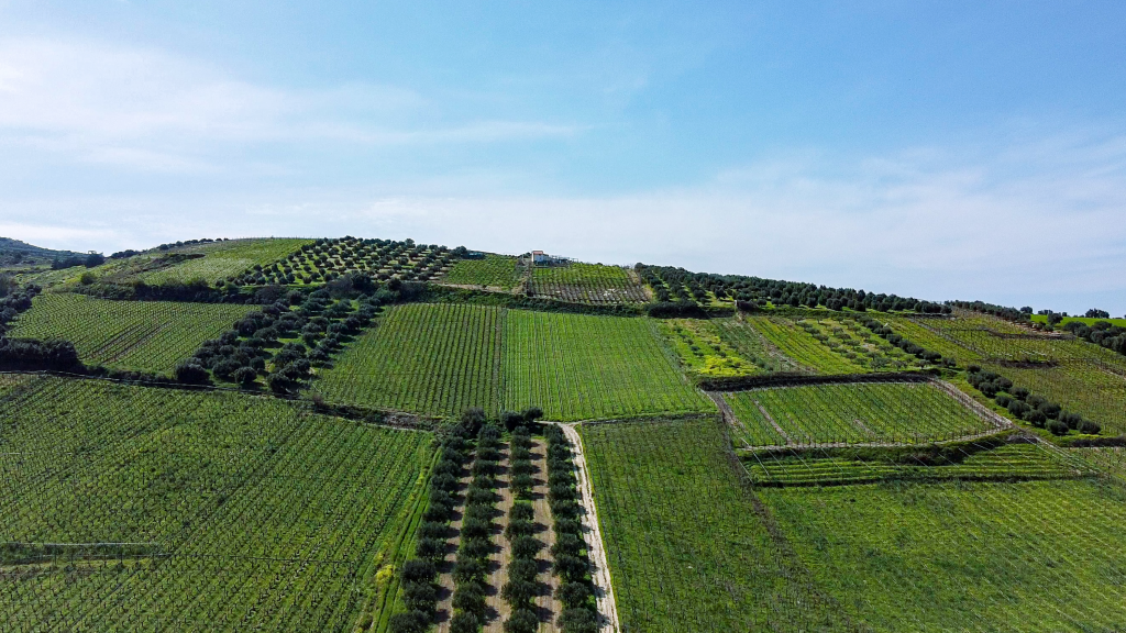 Abreu Advogados acolhe o I Congresso CropLife Portugal: Pensar a Agricultura do Futuro