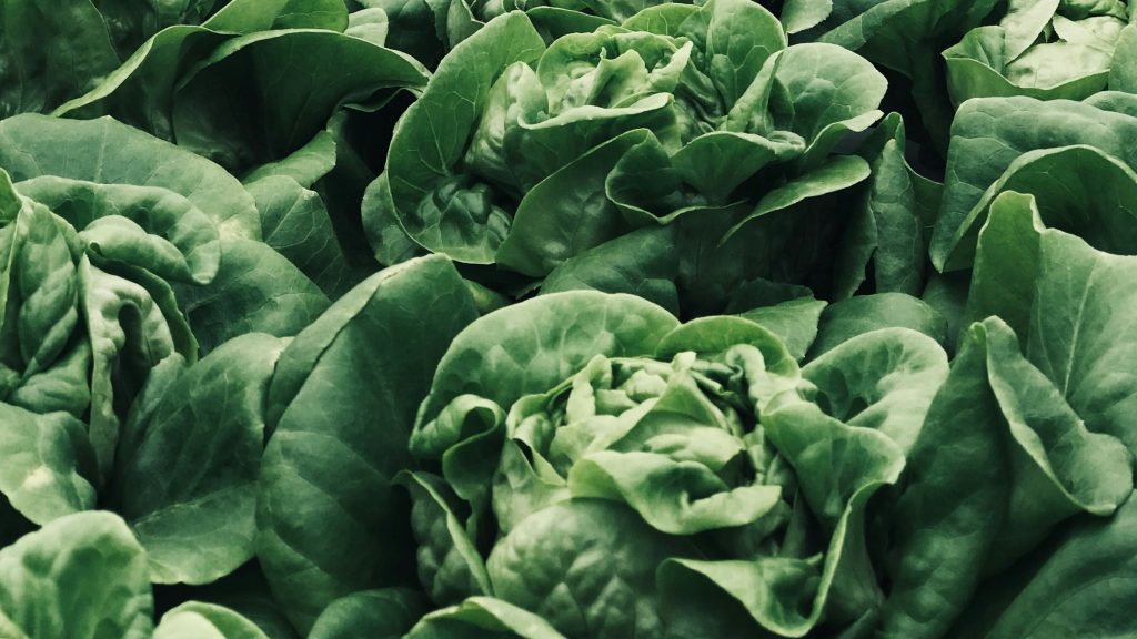 Abreu_Advogados_Agroalimentar