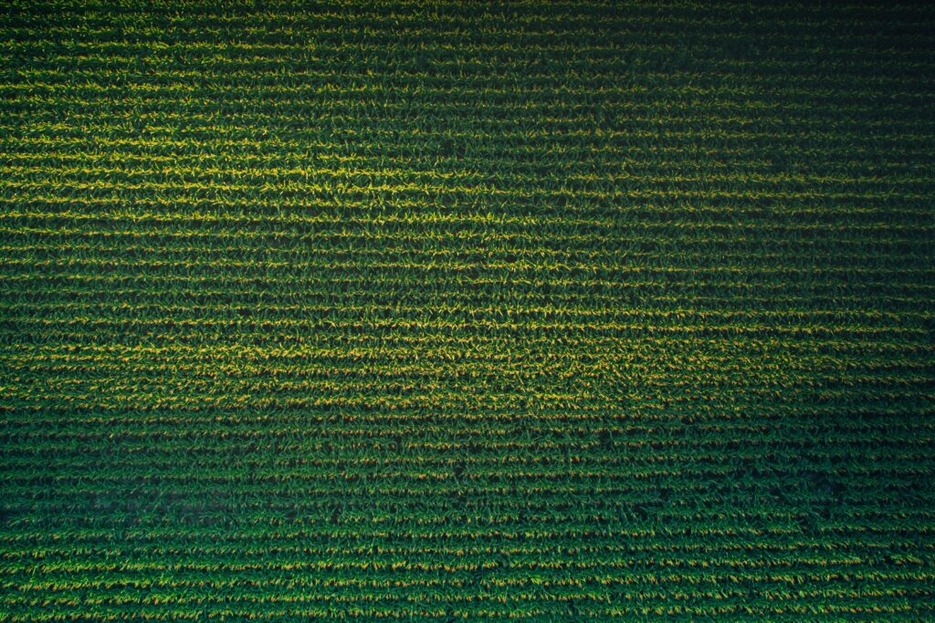 Abreu Advogados advised Newpal in the acquisition of Companhia Portuguesa de Amidos