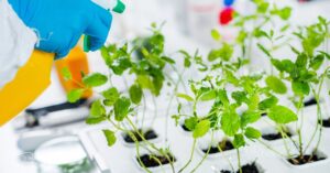 plantas_tecnicas_genomicas