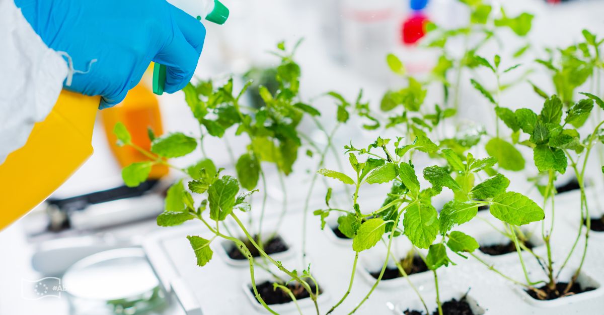 plantas_tecnicas_genomicas