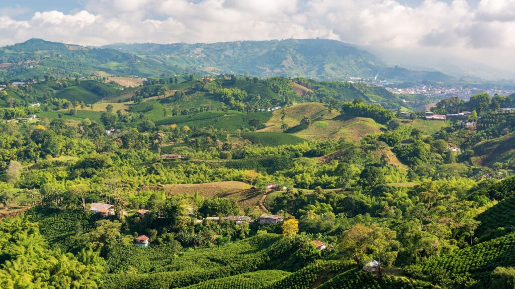 Forest Fire Prevention | Surveillance of fire fuel management 2024