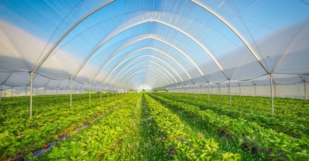 Atualizações | Agroalimentar | 15 – 31 julho