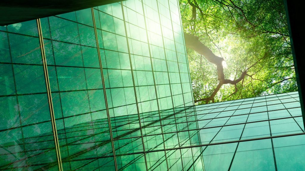 Ensuring that Public Procurement contributes to a Sustainable Future