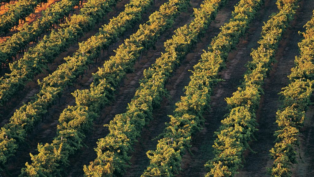 Legal Field | 15 – 30 november